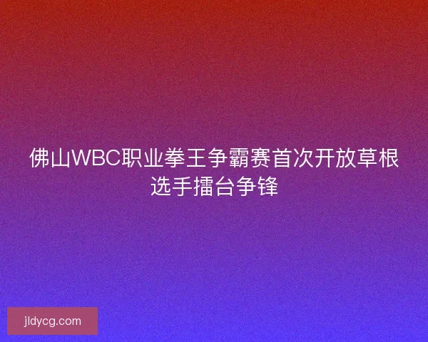 佛山WBC职业拳王争霸赛首次开放草根选手擂台争锋