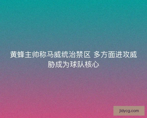 黄蜂主帅称马威统治禁区 多方面进攻威胁成为球队核心 黄蜂主帅称马威统治禁区 多方面进攻威胁成为球队核心